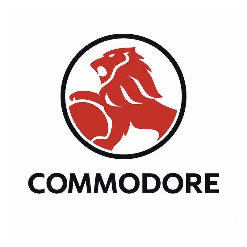 Holden Vt VX Vy Vu Commodore Workshop Service Repair Manual PDF Download