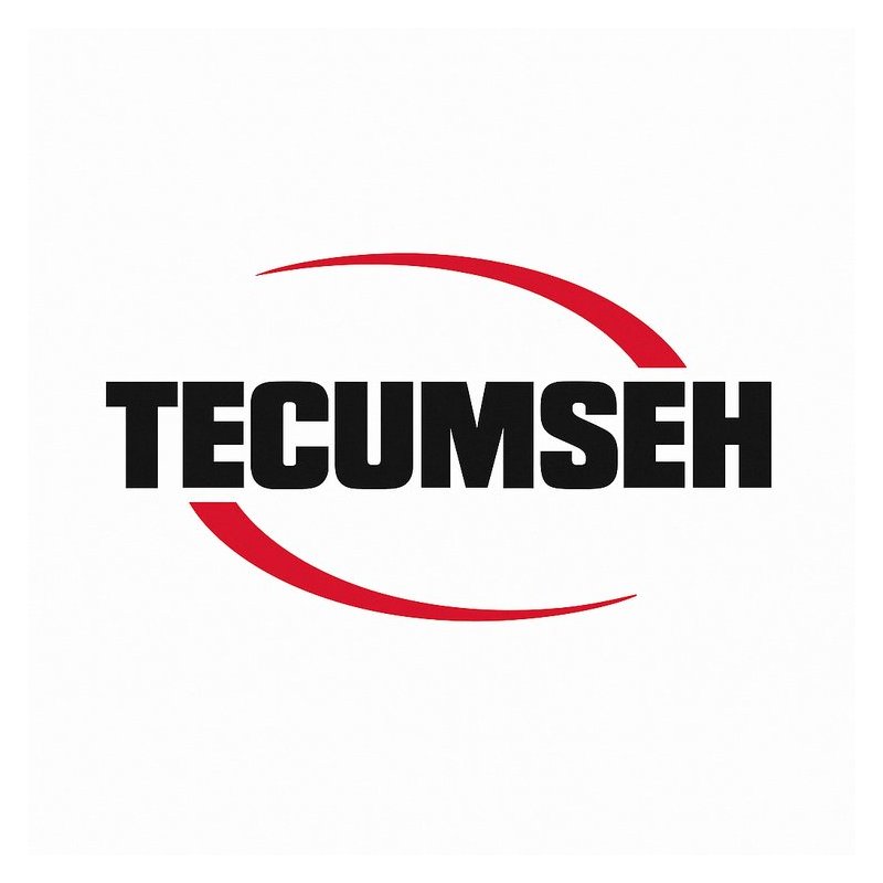 Tecumseh 4 Cycle Overhead Valve Engine Workshop Service Repair Manual PDF Download