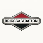 Briggs and Stratton