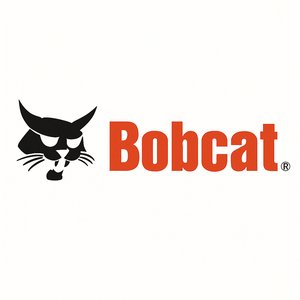 Bobcat
