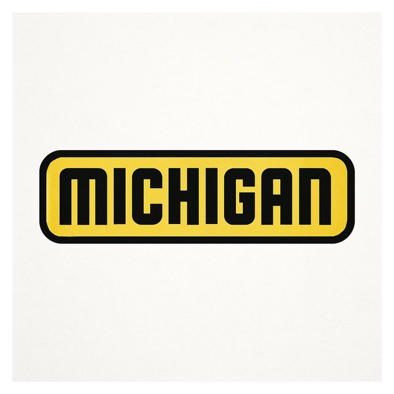 39 ManualS MICHIGAN Wheel DOZER Parts Manual  LOTS Of ModelS COVERED