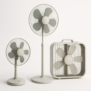 Fans
