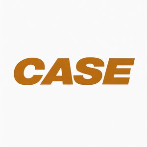 CASE