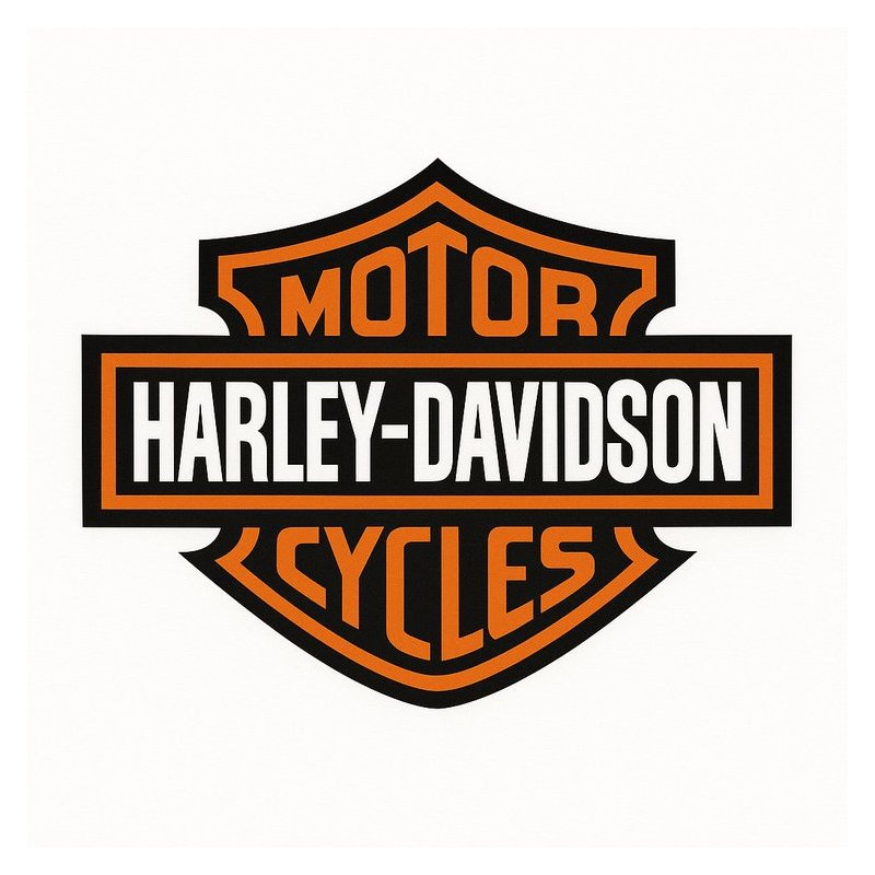 Harley Davidson Street 2019 Factory Workshop Service Repair Manual 