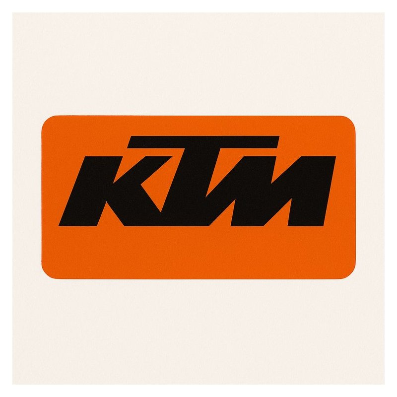 Wp Rear Suspension 100 Page Guide for Ktm Bikes PDF Download