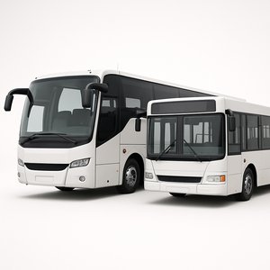 Buses