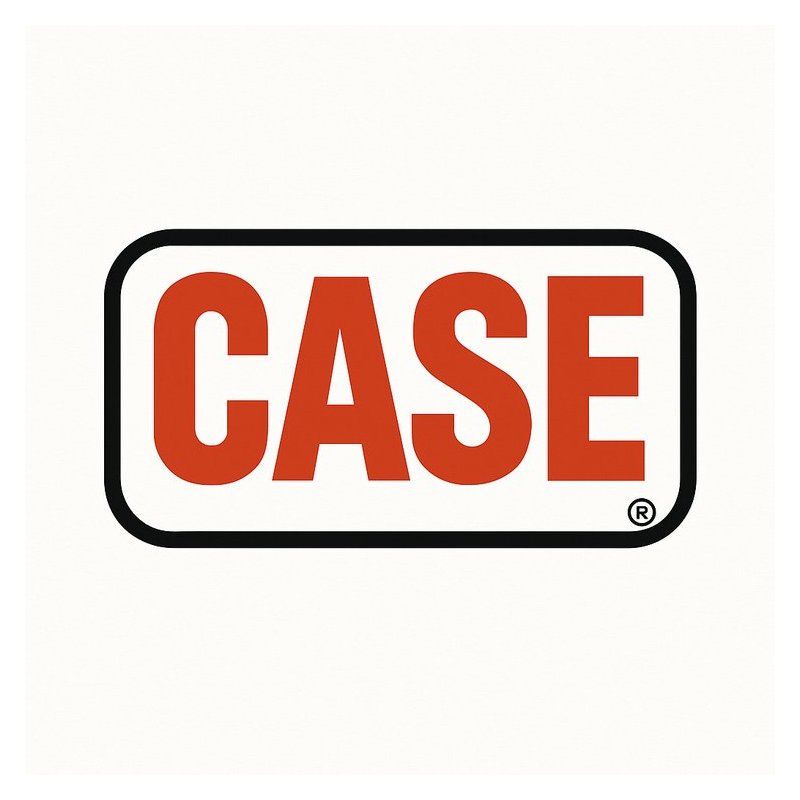 Evaluating Project Decisions: Case Studies in Software Engineering - Mel Rosso-Llopart PDF Download