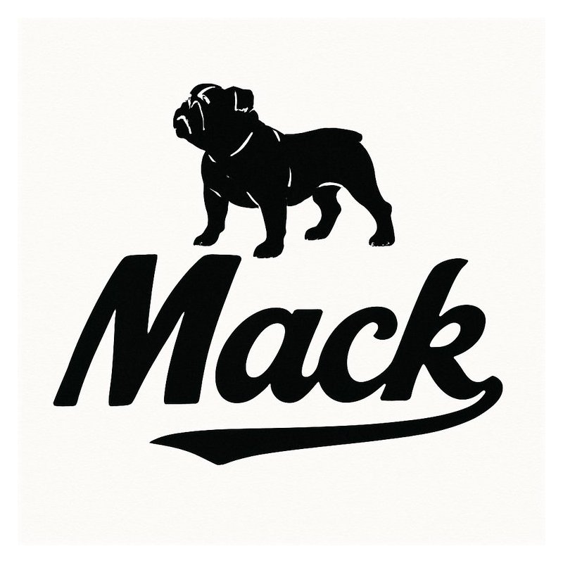 Mack E7 Overhaul Workshop Service Repair Manual PDF Download