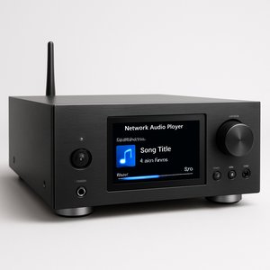 Network Audio Players