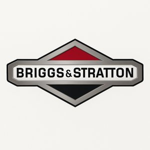 Briggs and Stratton