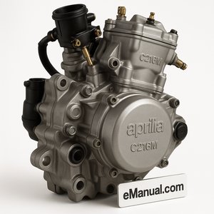 C216M