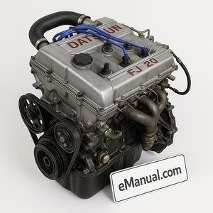 FJ20