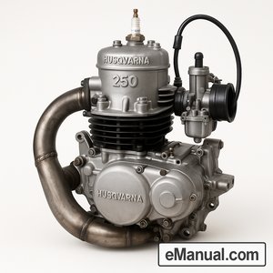 250