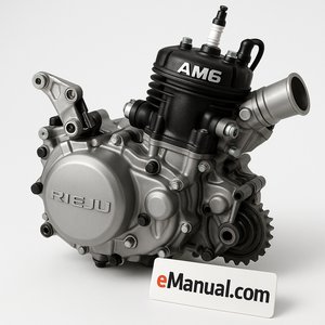 AM6