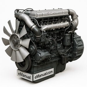 DN 11
