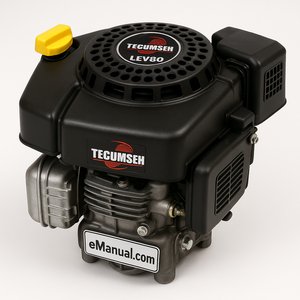 LEV80