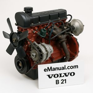 B 21