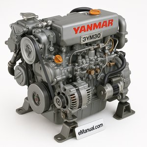 3 YM 30