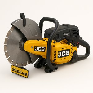 CS 300