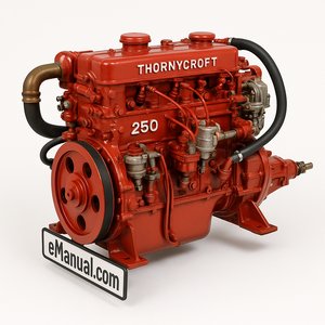 250