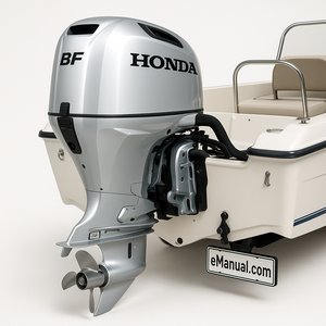 BF Models