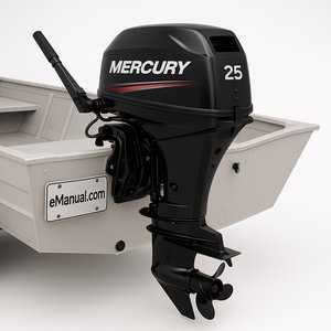 Model 25