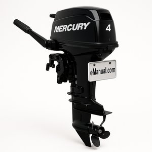 Model 4