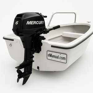 Model 6