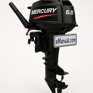 Model 6.0