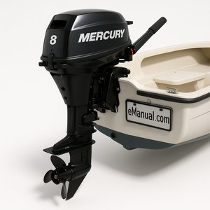 Model 8