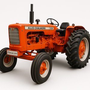 D19