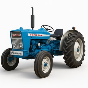 3000