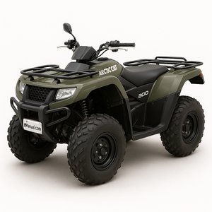 300 Series