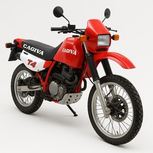 T4