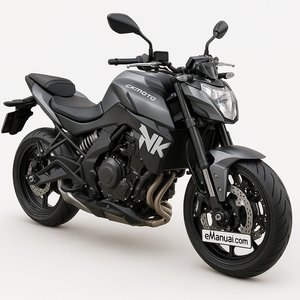 650NK