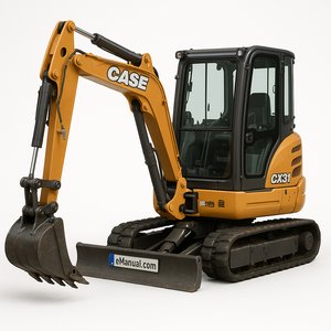 CX 31