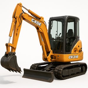 CX 31 B