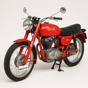 250