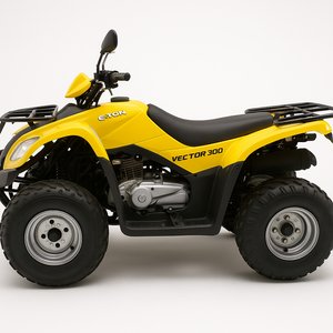 Vector 300