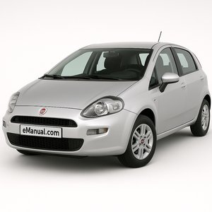 Punto