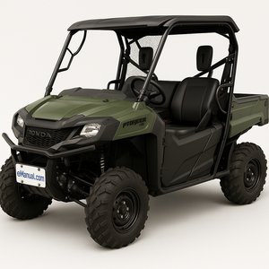 Pioneer 700