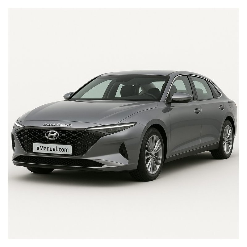 Hyundai XG250 XG300 XG350 Onwards Workshop Service Repair Manual PDF Download