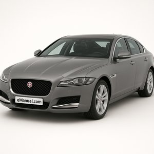 XF