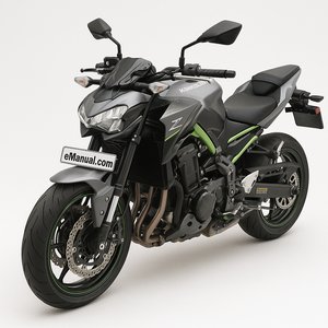 Serie Z