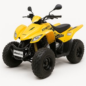 Mongoose Models