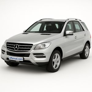 M Class