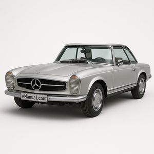 W113