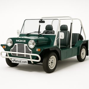 Moke