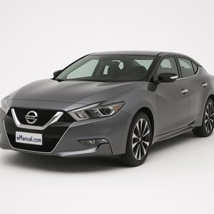 Maxima
