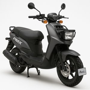 PMX